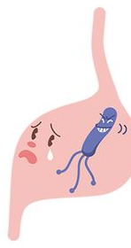 ピロリ菌に困っている胃のイラスト