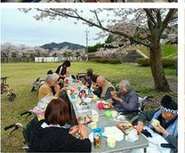 桜の下でお弁当を広げるお花見の様子